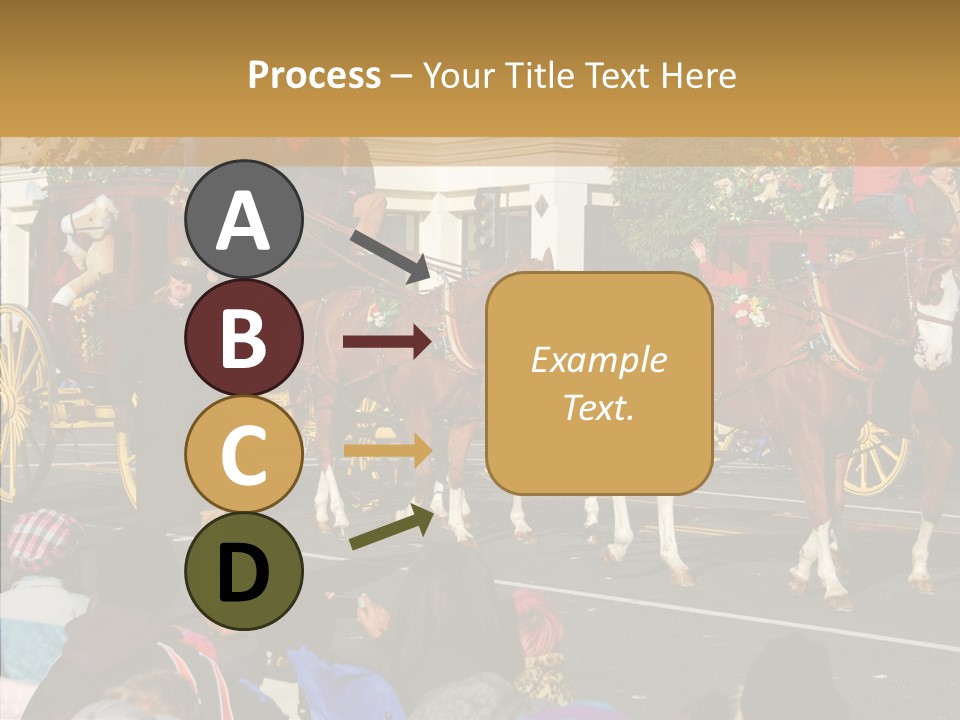 Senior  Closeup Hold PowerPoint Template