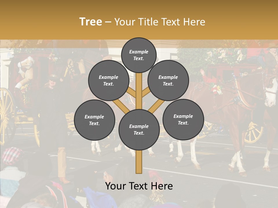 Senior  Closeup Hold PowerPoint Template