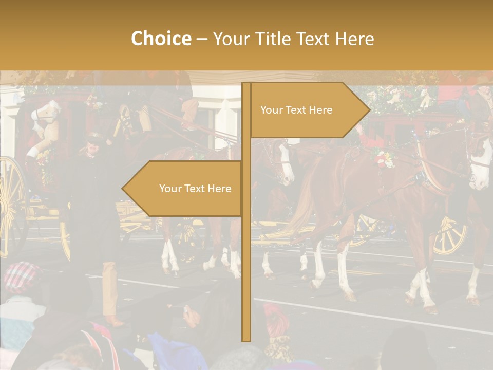 Senior  Closeup Hold PowerPoint Template