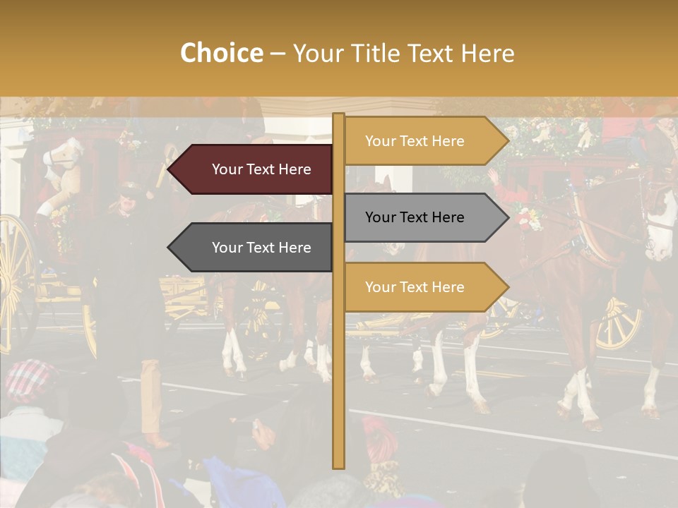 Senior  Closeup Hold PowerPoint Template