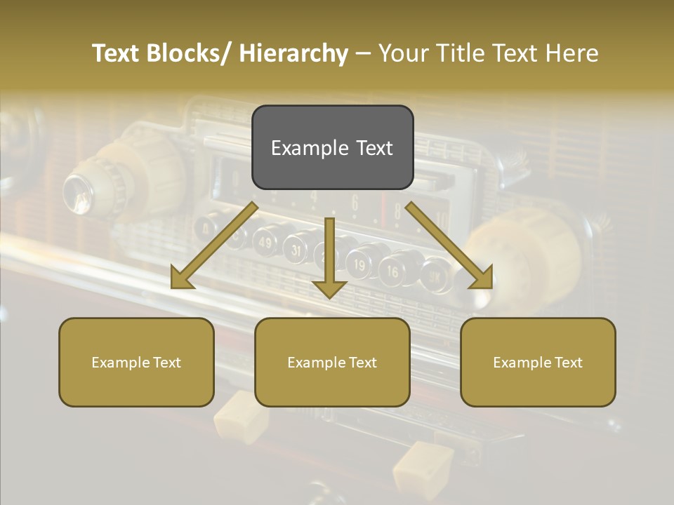 Wood Exhibit Key PowerPoint Template