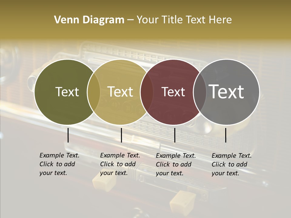 Wood Exhibit Key PowerPoint Template