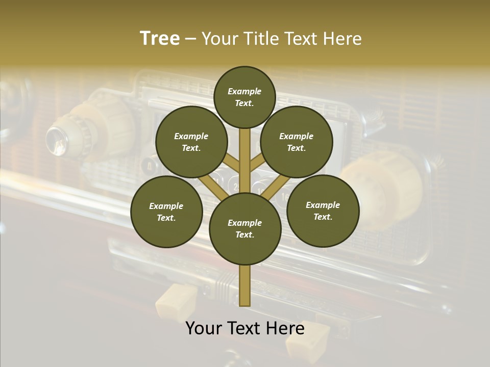 Wood Exhibit Key PowerPoint Template