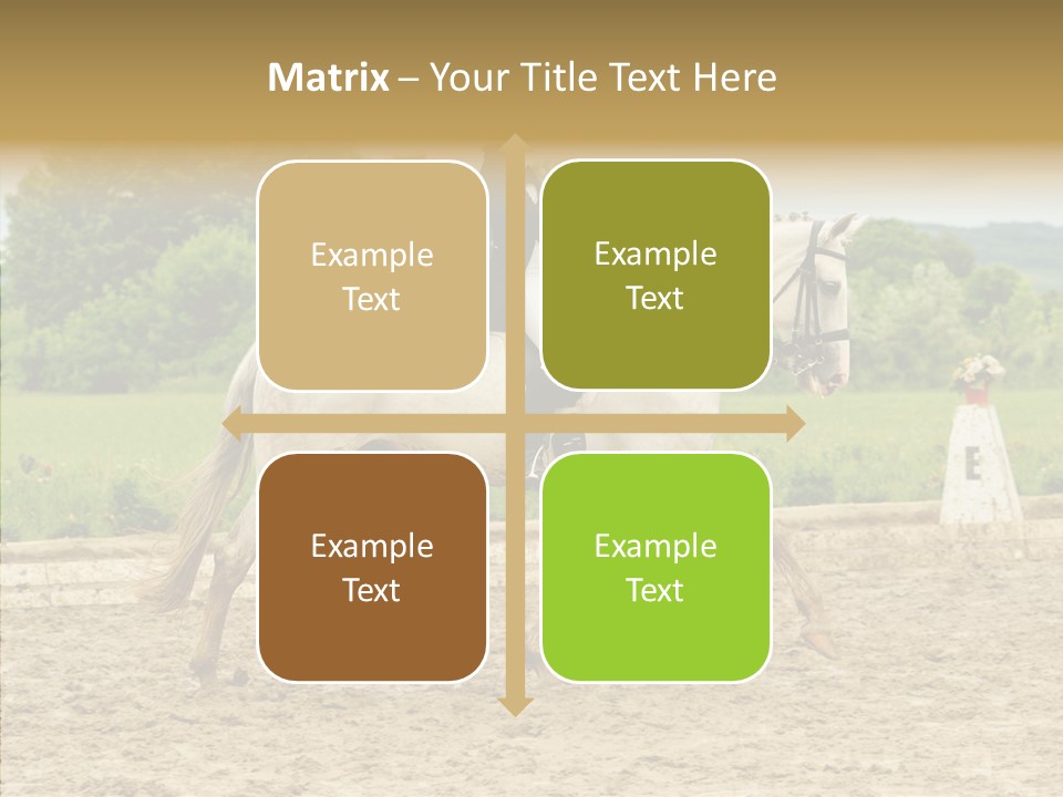 Female Course Gray PowerPoint Template