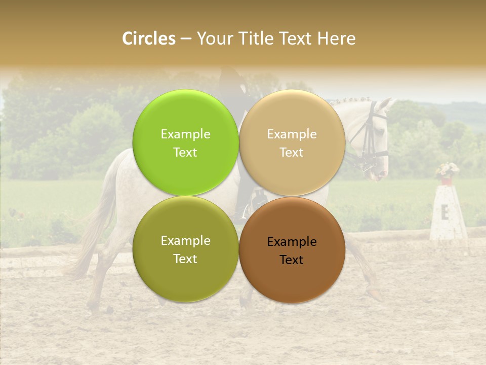 Female Course Gray PowerPoint Template