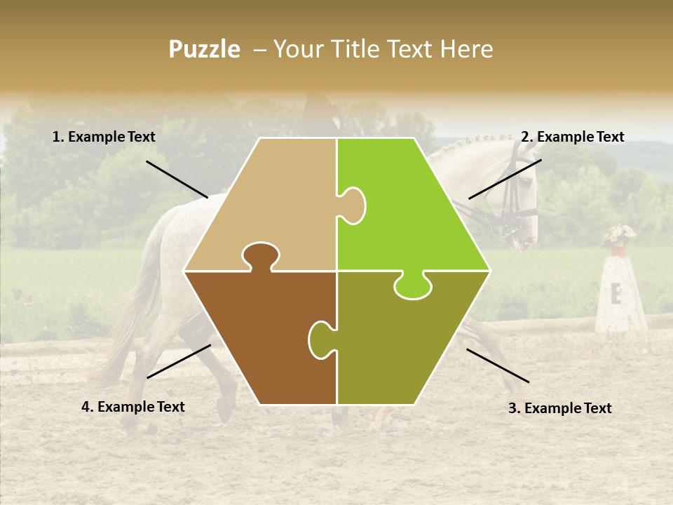 Female Course Gray PowerPoint Template