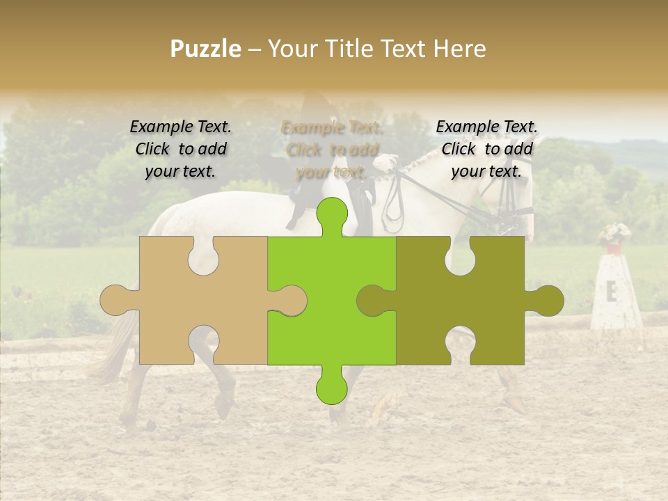 Female Course Gray PowerPoint Template