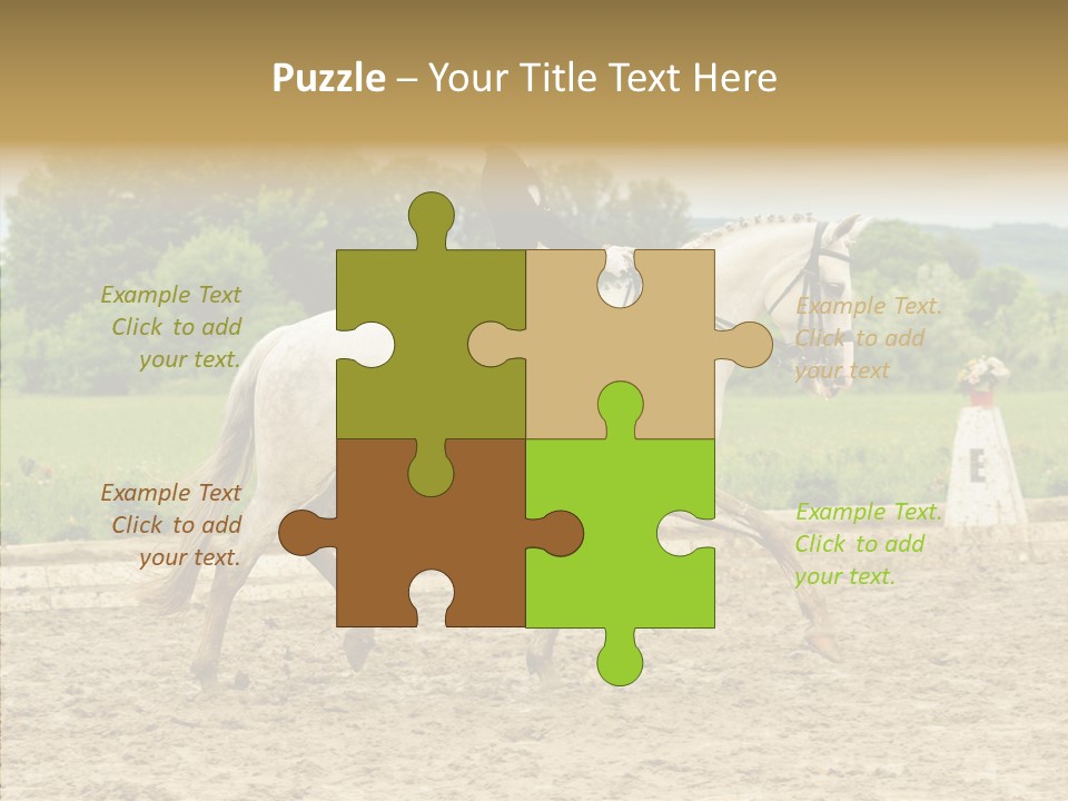 Female Course Gray PowerPoint Template