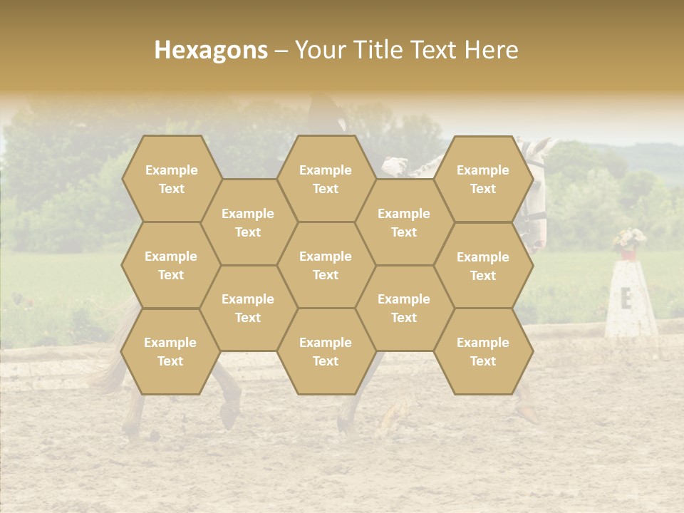 Female Course Gray PowerPoint Template