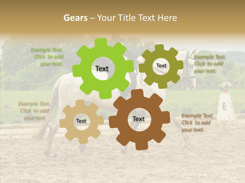 Female Course Gray PowerPoint Template