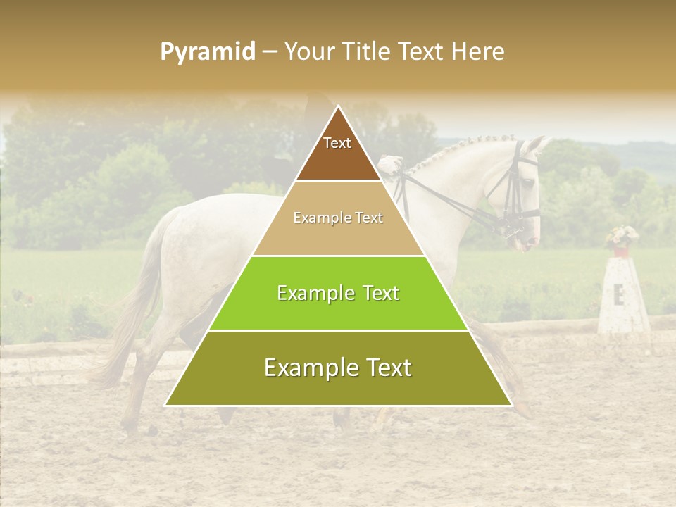 Female Course Gray PowerPoint Template