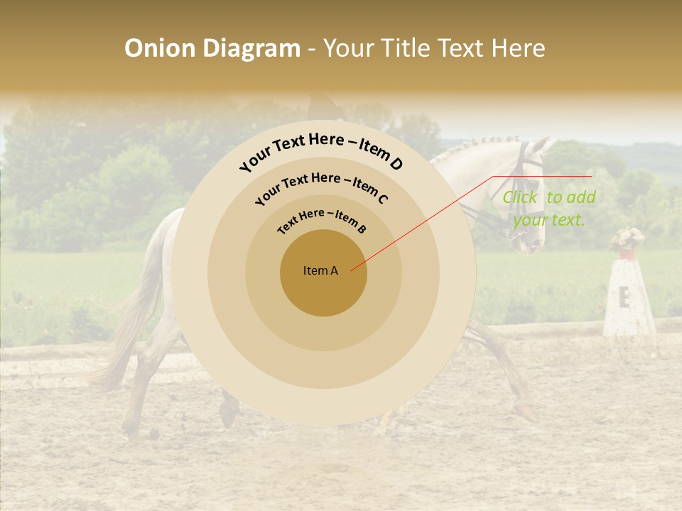 Female Course Gray PowerPoint Template