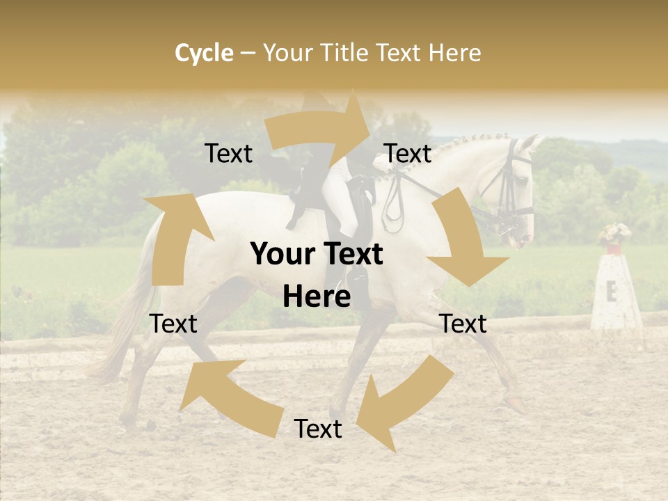 Female Course Gray PowerPoint Template