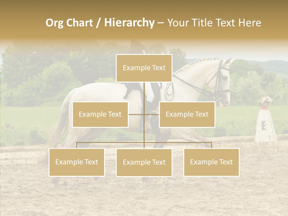 Female Course Gray PowerPoint Template