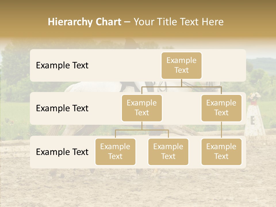 Female Course Gray PowerPoint Template