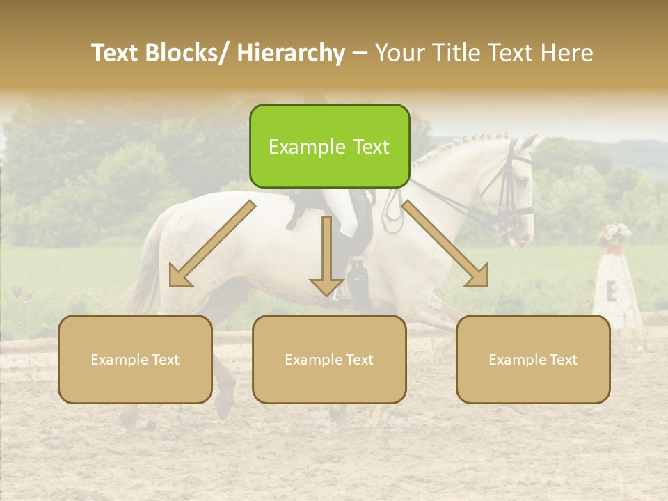 Female Course Gray PowerPoint Template