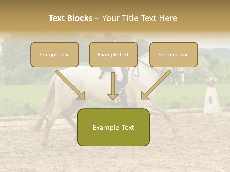Female Course Gray PowerPoint Template