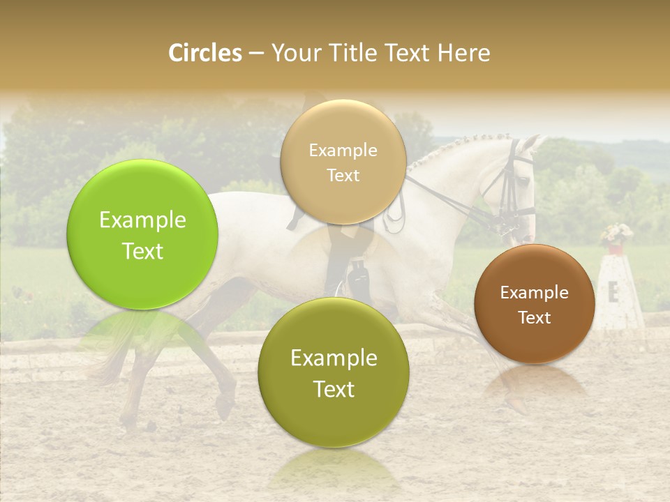 Female Course Gray PowerPoint Template