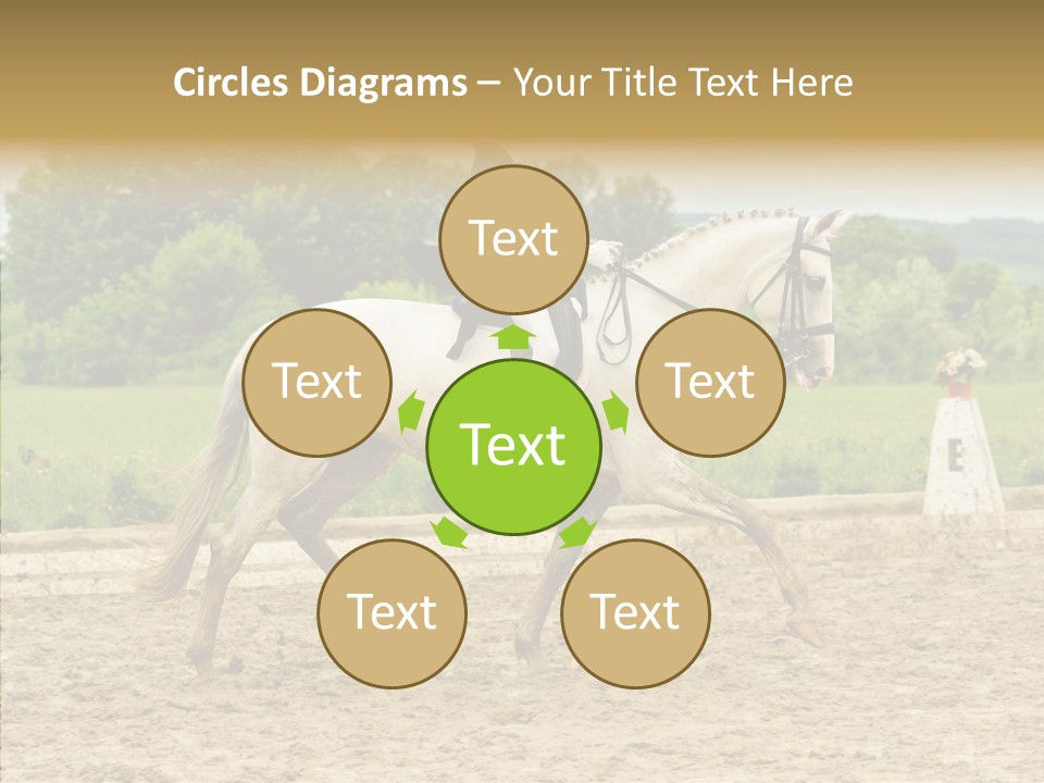 Female Course Gray PowerPoint Template