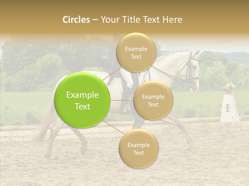 Female Course Gray PowerPoint Template