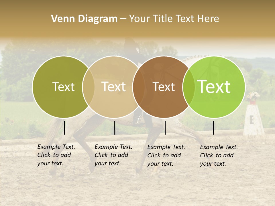 Female Course Gray PowerPoint Template