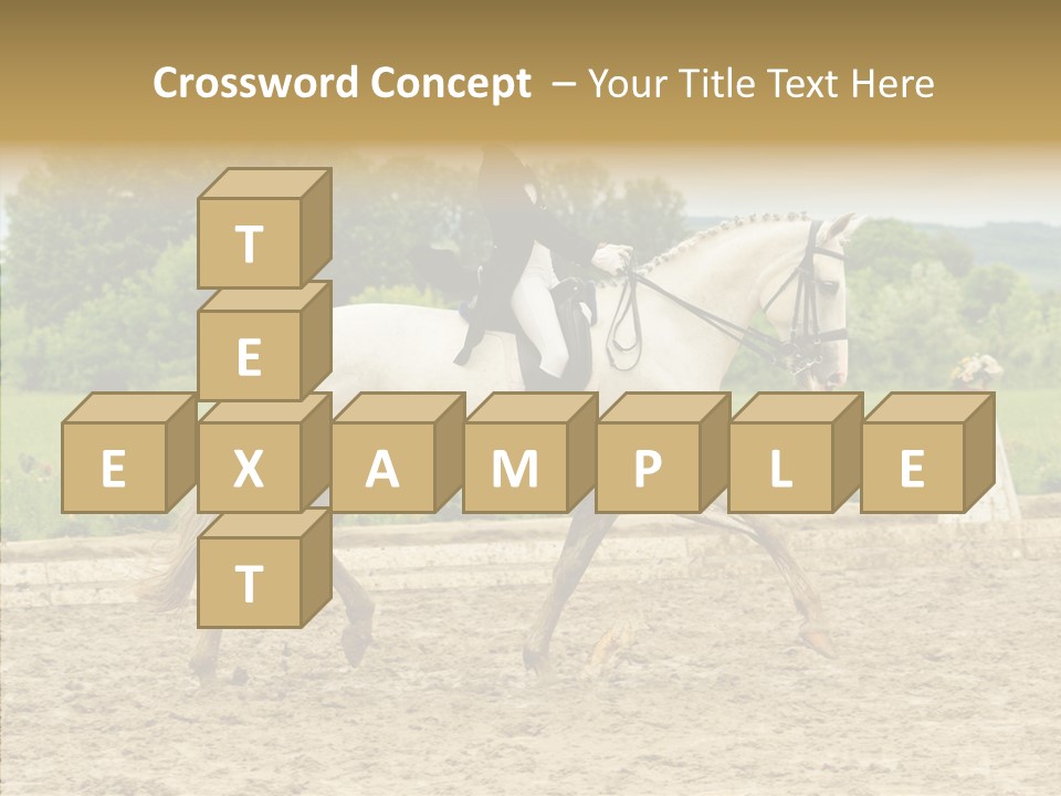 Female Course Gray PowerPoint Template