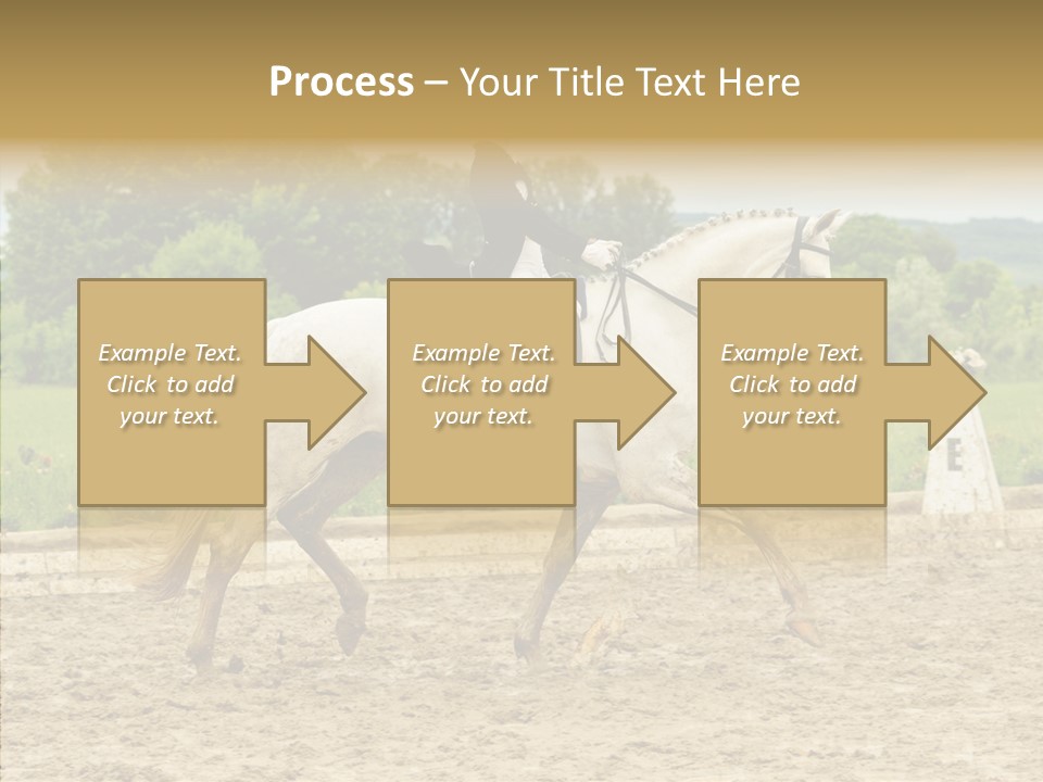 Female Course Gray PowerPoint Template