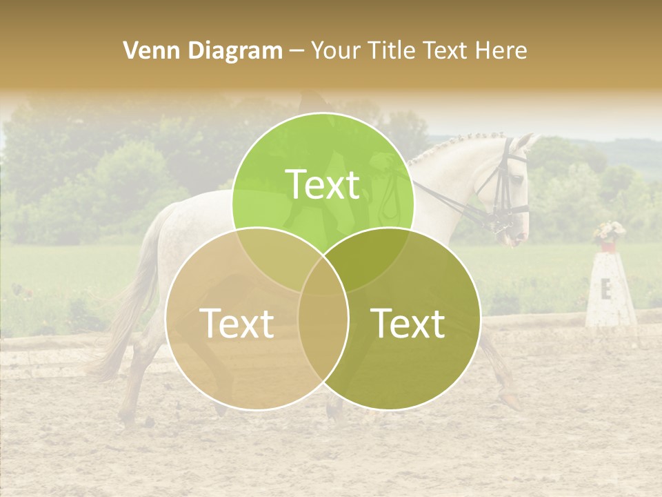 Female Course Gray PowerPoint Template