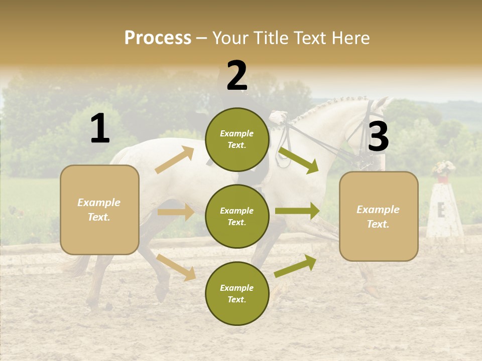 Female Course Gray PowerPoint Template