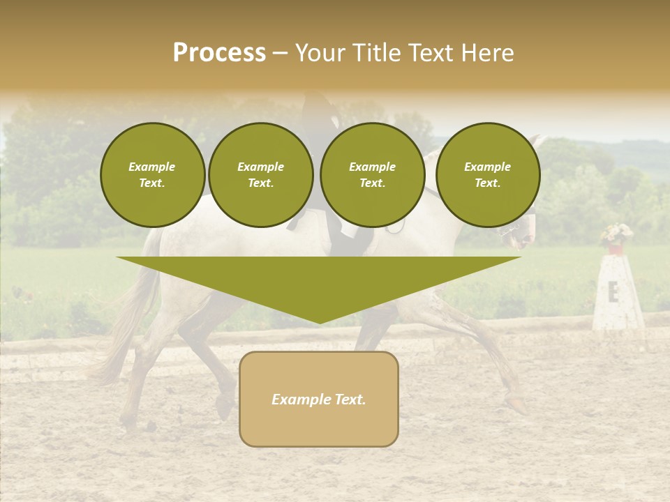 Female Course Gray PowerPoint Template