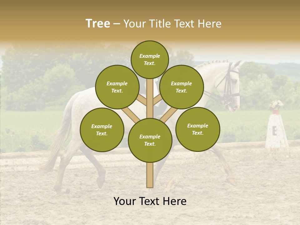 Female Course Gray PowerPoint Template