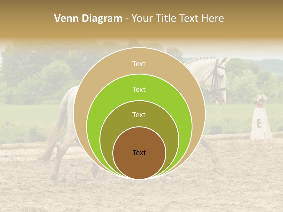 Female Course Gray PowerPoint Template