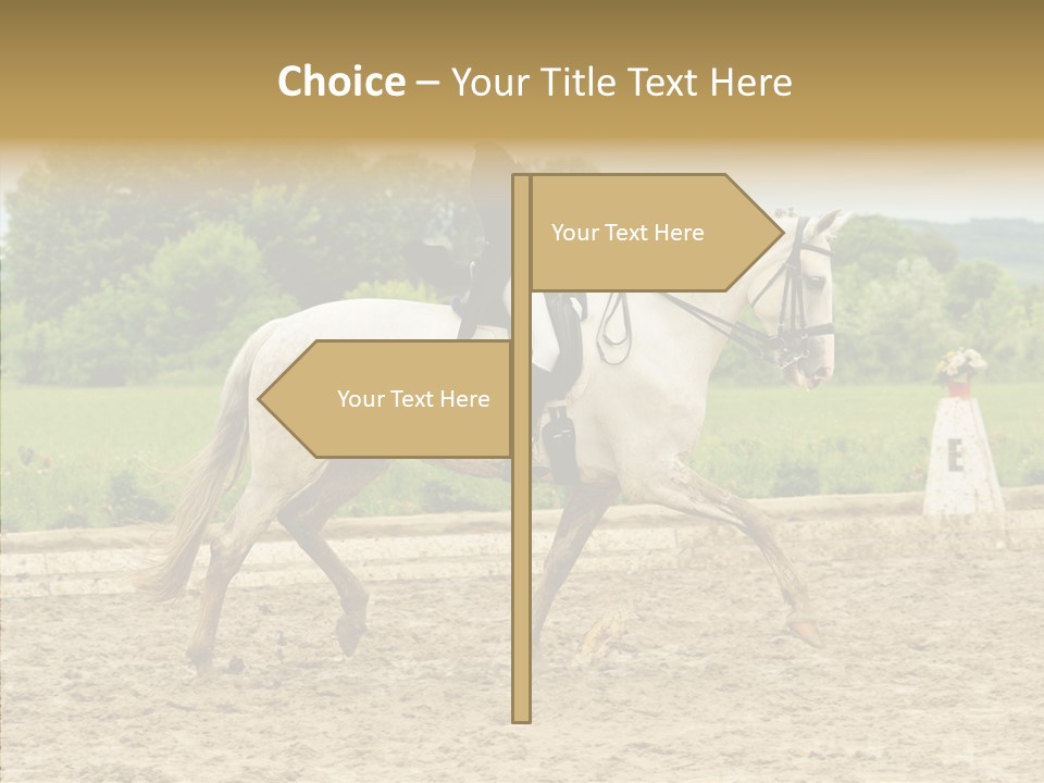 Female Course Gray PowerPoint Template