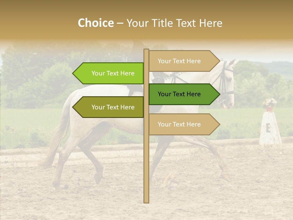 Female Course Gray PowerPoint Template