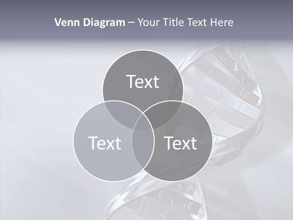 Continuity Chrome Heredity PowerPoint Template