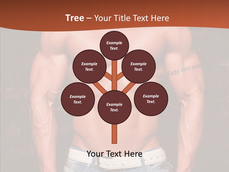 Airborne Boeing Technology PowerPoint Template