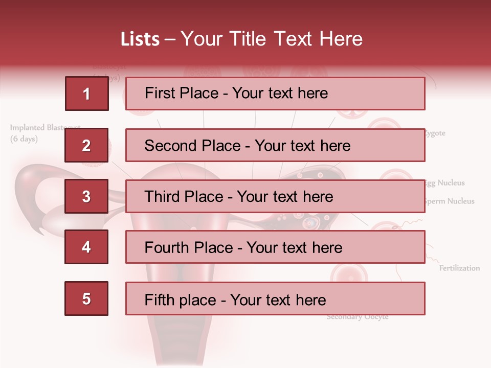 Fertilization Illustration Human PowerPoint Template