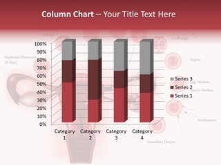 Fertilization Illustration Human PowerPoint Template