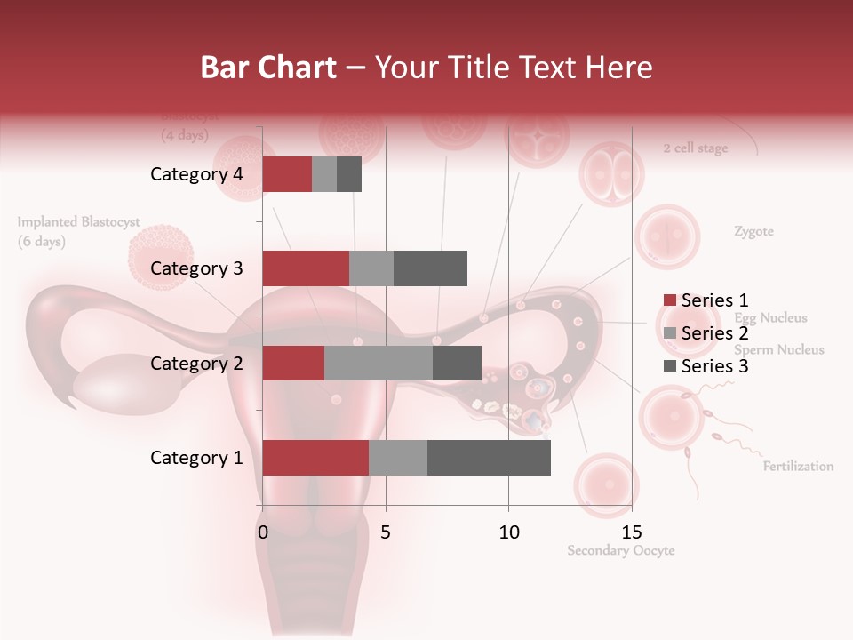 Fertilization Illustration Human PowerPoint Template