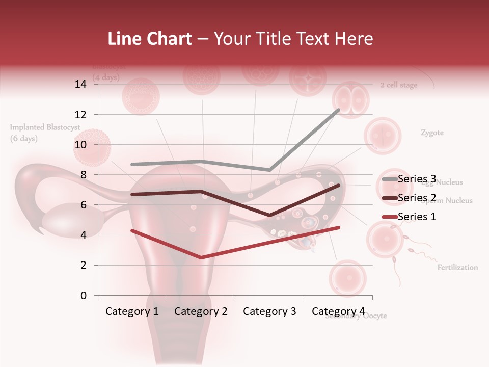 Fertilization Illustration Human PowerPoint Template