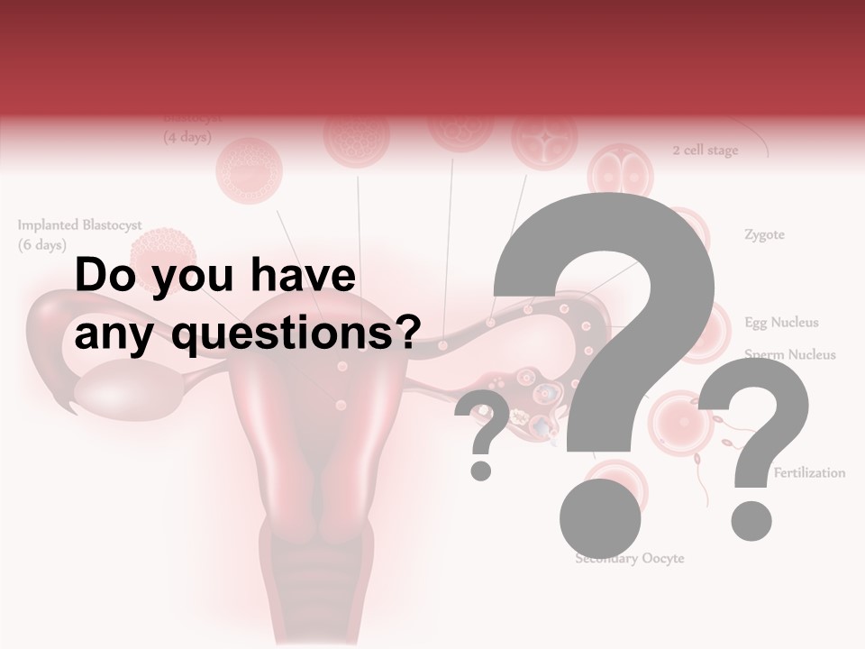 Fertilization Illustration Human PowerPoint Template