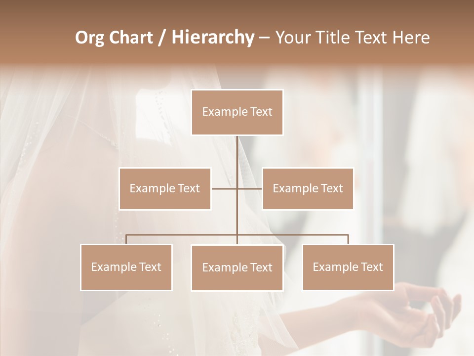 Happiness Tulle Beautiful PowerPoint Template