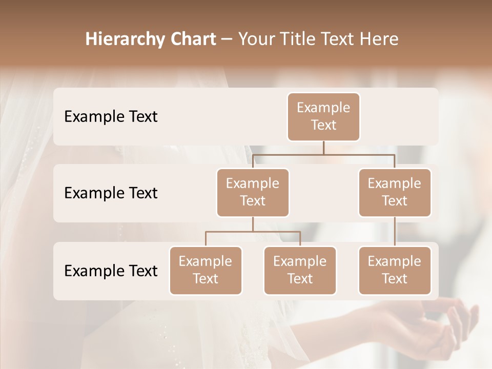 Happiness Tulle Beautiful PowerPoint Template