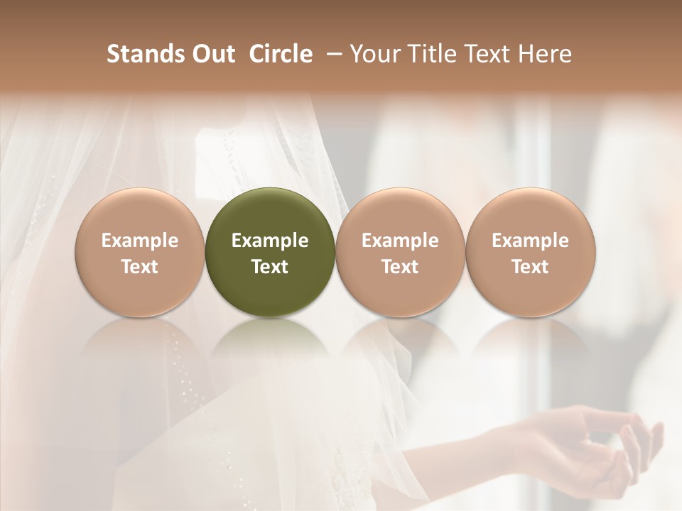 Happiness Tulle Beautiful PowerPoint Template