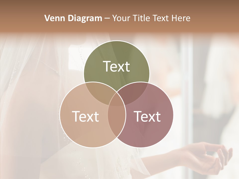 Happiness Tulle Beautiful PowerPoint Template