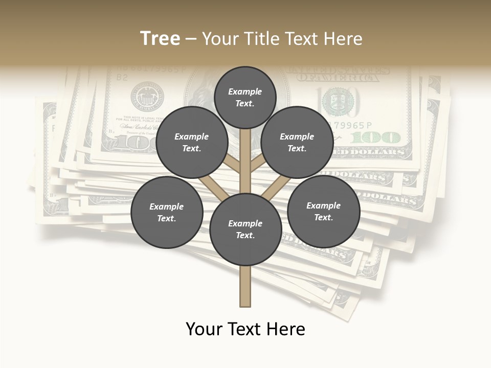 Cash Wealth American PowerPoint Template