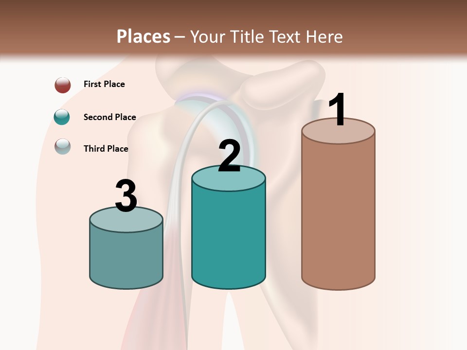 Fitness Tendon Illustration PowerPoint Template