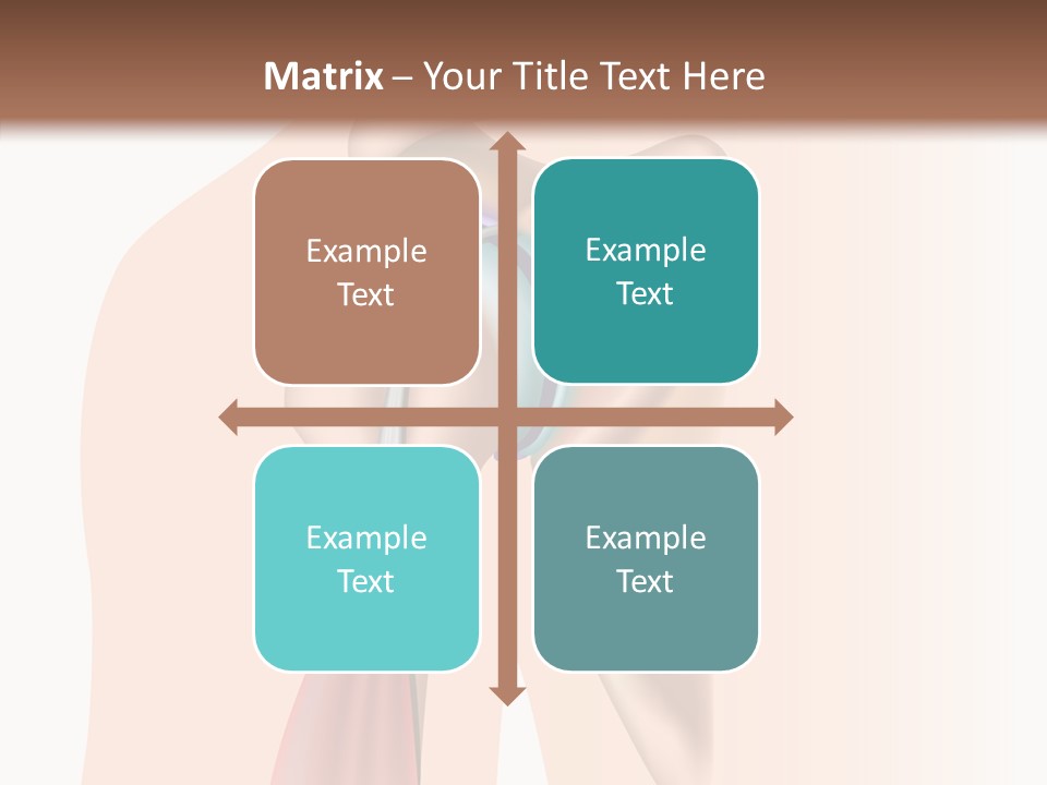 Fitness Tendon Illustration PowerPoint Template