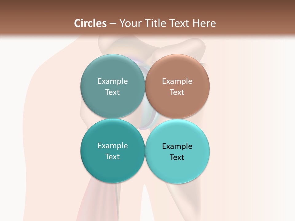 Fitness Tendon Illustration PowerPoint Template