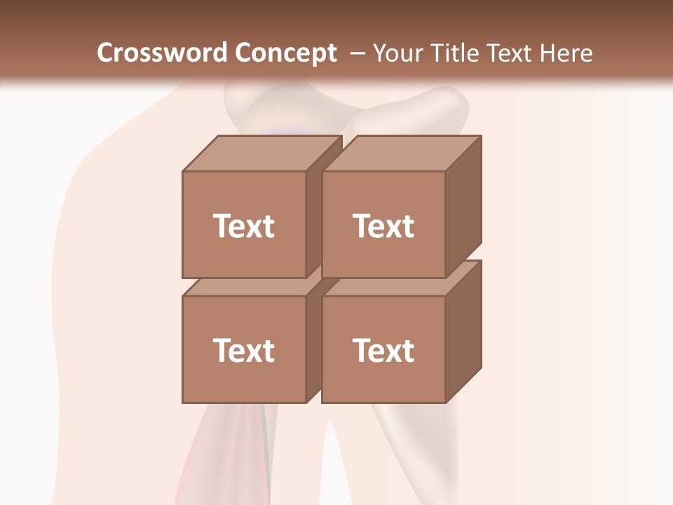 Fitness Tendon Illustration PowerPoint Template